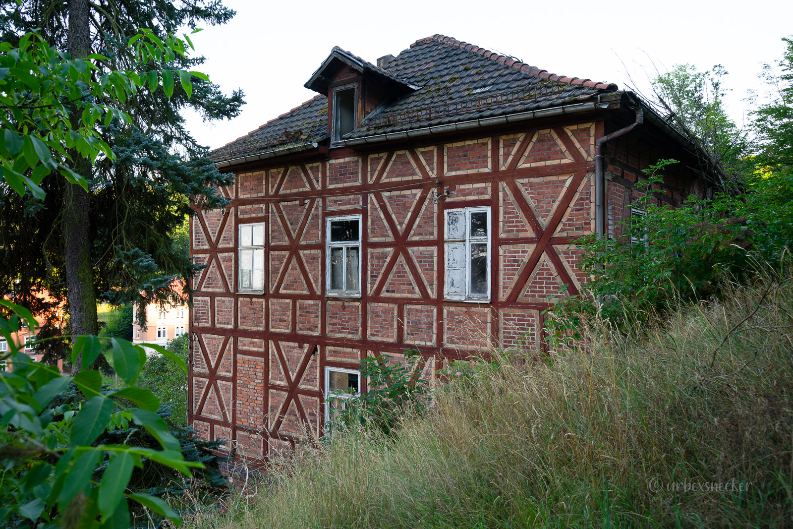 Die verlassene Villa am Roeseschen Hölzchen